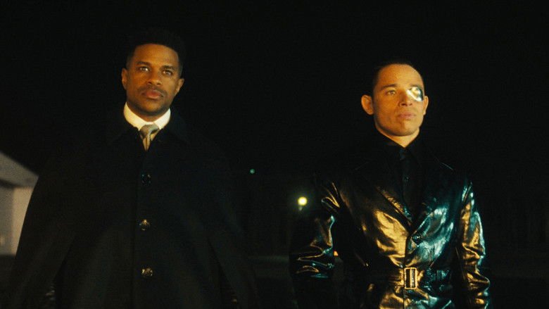 E-04 Beautiful Chimp Face